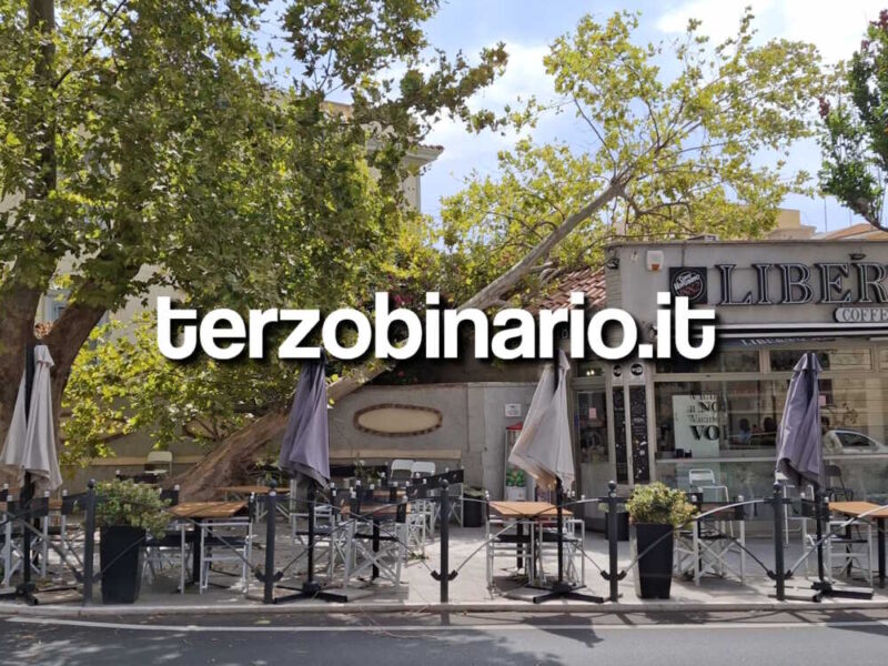 vvf vigili fuoco pompieri autoscala albero caduto liberty corso centocelle civitavecchia 11