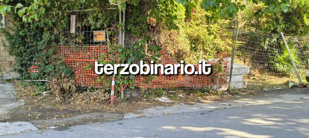 segnalazione di un cittadino di Santa marinella in merito allo stato di degrado del lungomare Guglielmo Marconi. La segnalazione riguarda queste transenne le quali sono anni che sono depositate li. È bene dire che chi lavora tra quattro mura cioè in ufficio giustamente non può vedere le anomalie e mancanze della città. A questo punto voglio dare un suggerimento al Sindaco dott. Pietro Tidei e cioè di farsi affiancare da uno staff come è stato fatto a suo tempo a Civitavecchia il quale riferisce tutte le problematiche necessarie. " È inammissibile assistere ad immagini del genere. Un posto come questo, frequentato ogni giorno da migliaia di persone e di turisti, dovrebbe essere valorizzato affinché possa essere definito, come si è soliti chiamarlo, la perla del Tirreno. Chiediamo l'intervento urgente dell'Amministrazione comunale, anche per tutte le altre zone che versano in stato di abbandono ad esempio come la mancanza di marciapiedi nella zona di Valdambrini e parte di via dei fiori ed il rifacimento di alcune parti dei marciapiedi del lungomare.Altra problema per Santa Marinella è che è sprovvista di un progetto PEBA il quale permetterebbe a ciechi e disabili motori a muoversi in autonomia. Santa Marinella merita rispetto e pulizia".