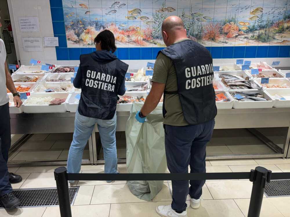 controllo pesca pescheria pesce guardia costiera controllo pesca pescheria pesce guardia costiera