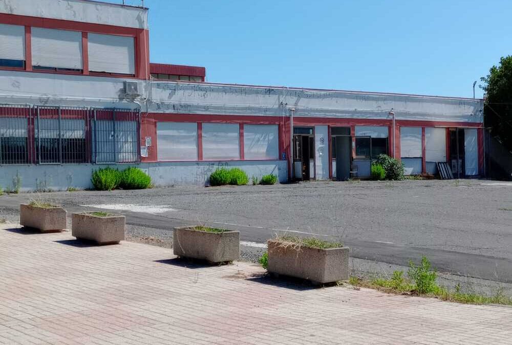 “La scuola è una giungla”: erba alta al liceo Guglielmotti di Civitavecchia