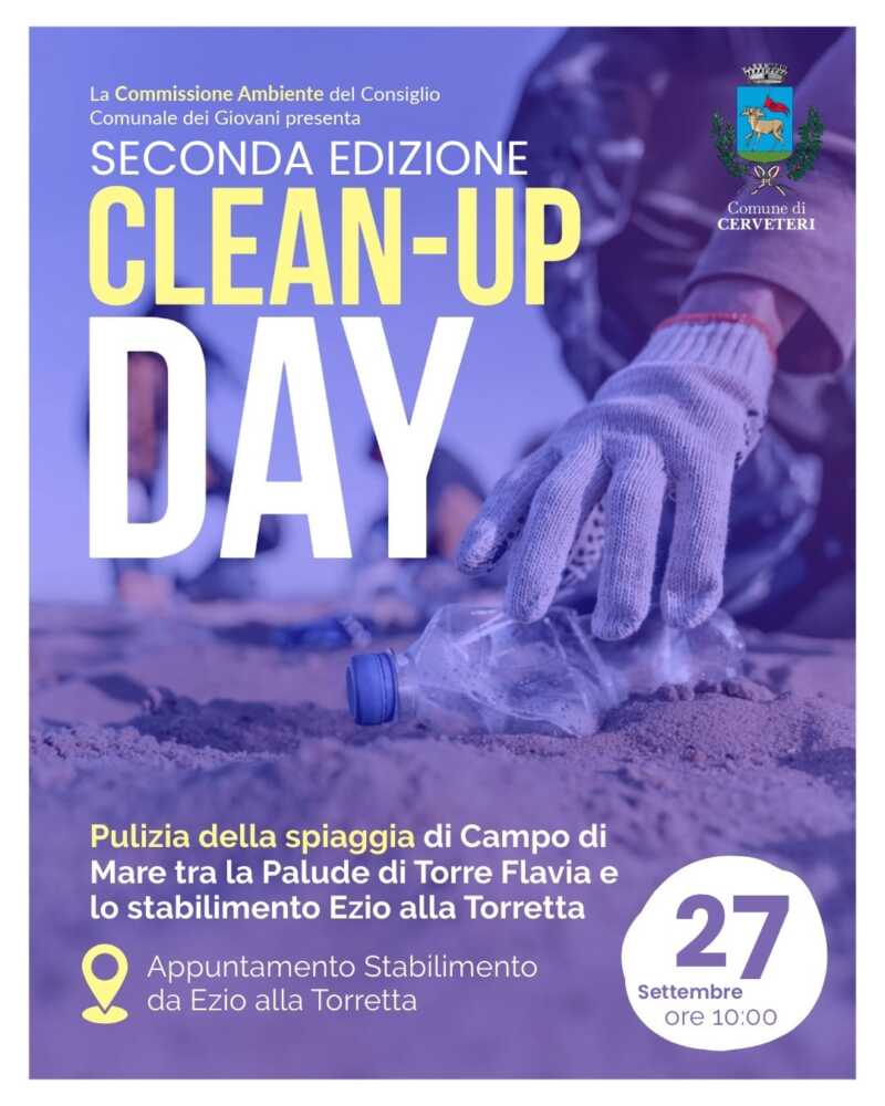 pulizia della spiaggia pulizia della spiaggia