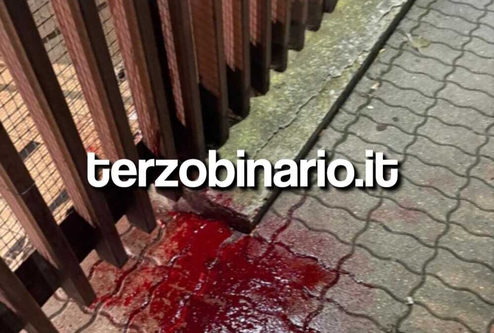 Malamovida a Civitavecchia, la ricetta di Nunzi: “Forse serve uno street tutor”