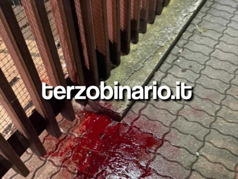 sangue malamovida pirgo civitavecchia (22)