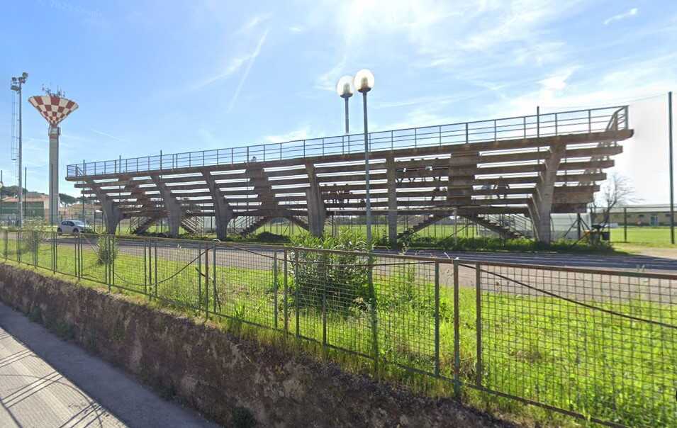 tribuna campo canino