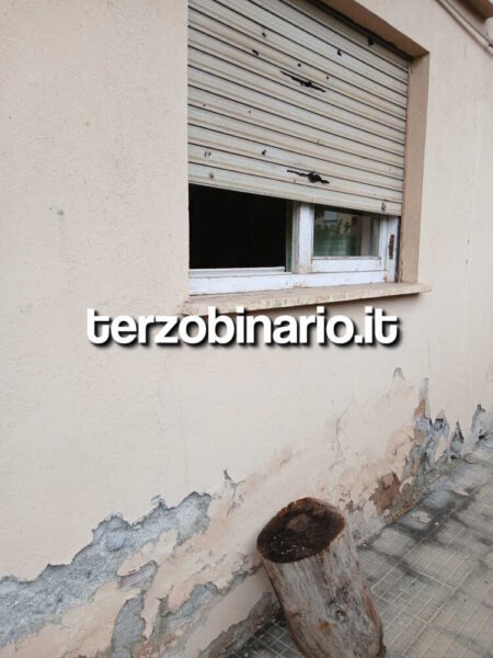 vandali consulta donne civitavecchia 22