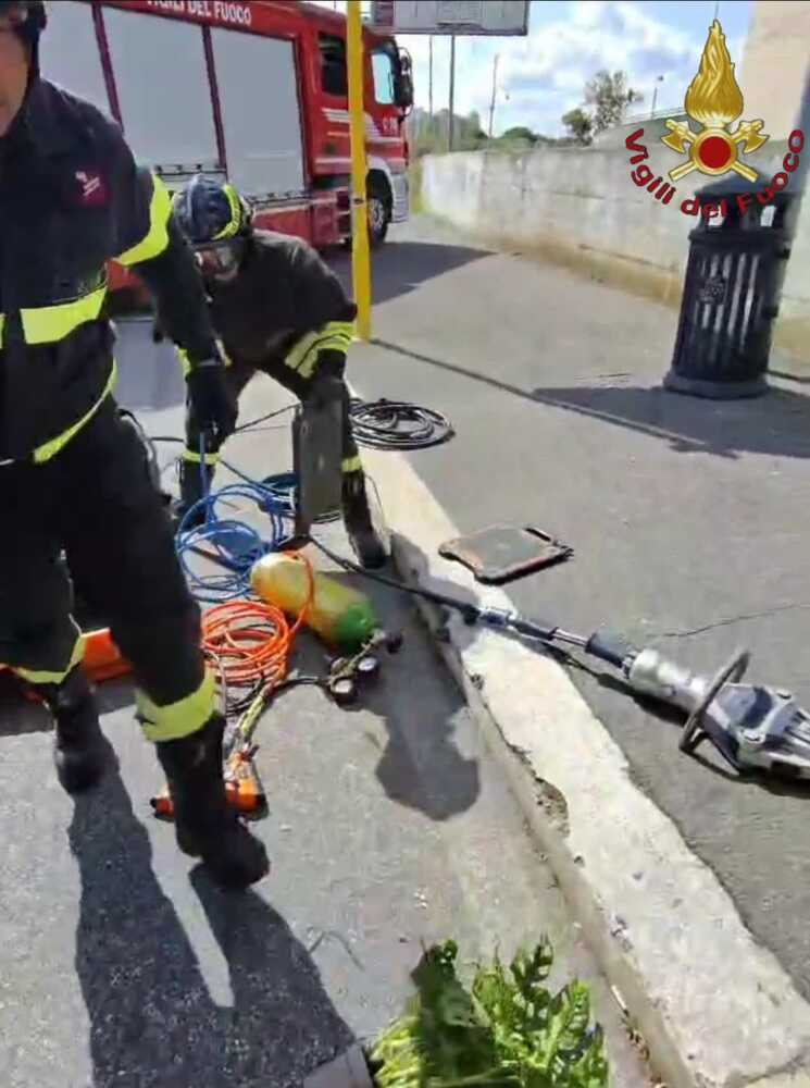 vvf vigili fuoco pompieri carro sollevamenti camion (1) vvf vigili fuoco pompieri carro sollevamenti camion (1)