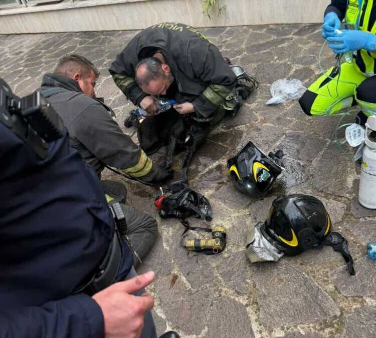 Fiamme in un appartamento di Torrevecchia: morta una 91enne, gravissima la figlia, salvo il cagnetto