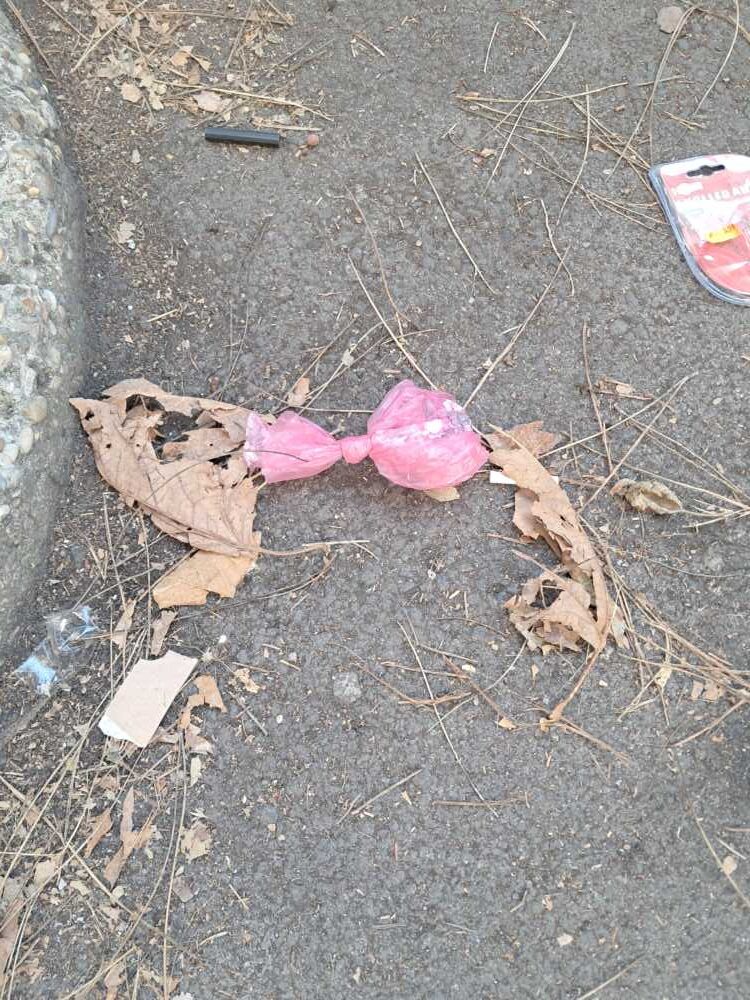 bustine cacche cane via palermo ladispoli (2)