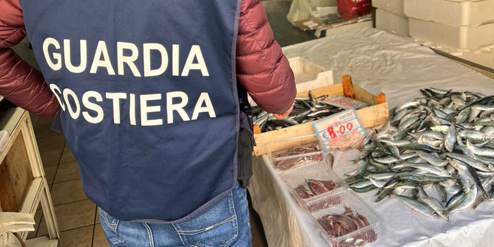 controllo pesca pescheria pesce guardia costiera 1