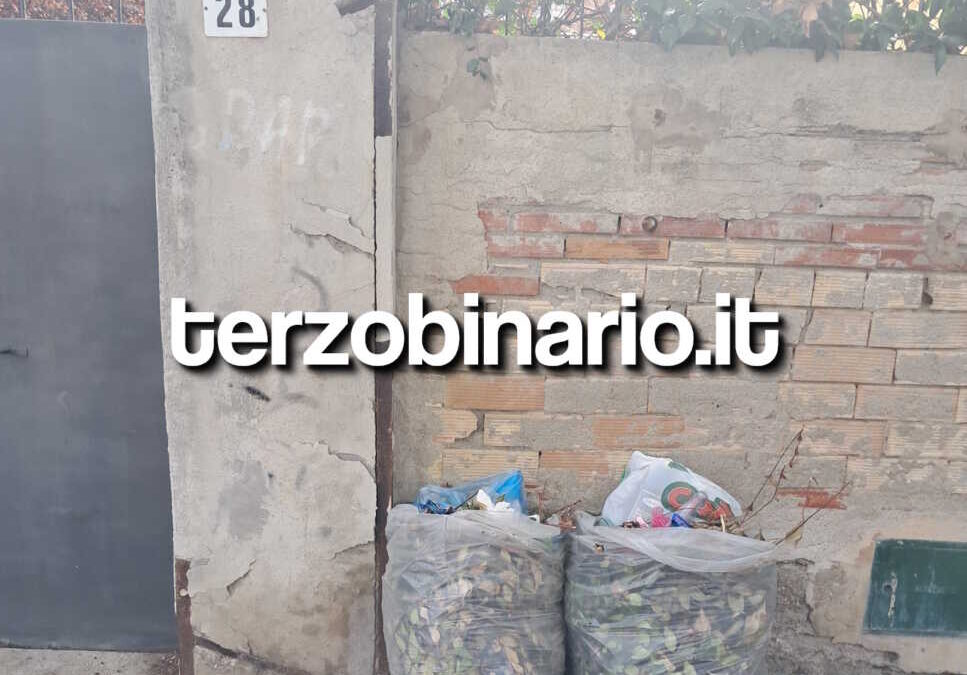 Sacchi di potature abbandonati in via Venezia a Ladispoli da tre settimane