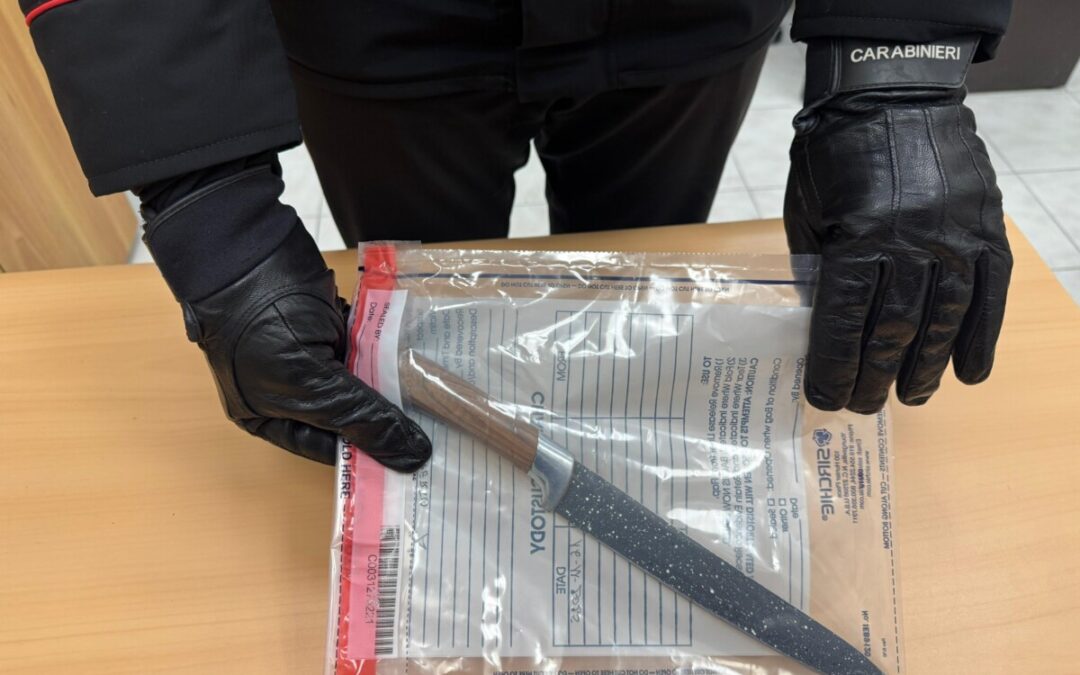 Litiga con il convivente e lo accoltella, 35enne peruviana arrestata a Cesano