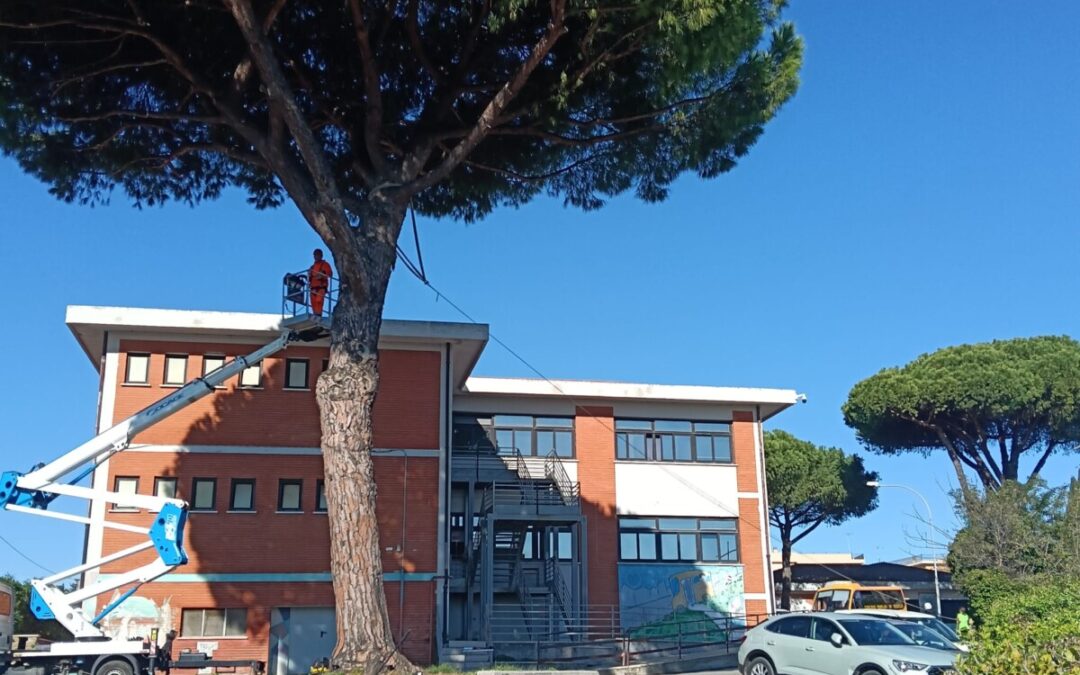 Manutenzione e analisi di controllo sulle alberature del Giovanni Cena a Cerveteri