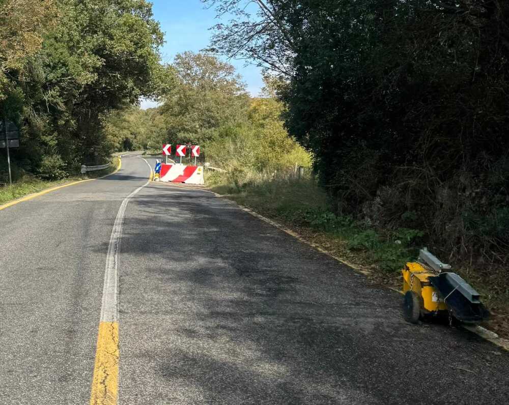 braccianese claudia lavori