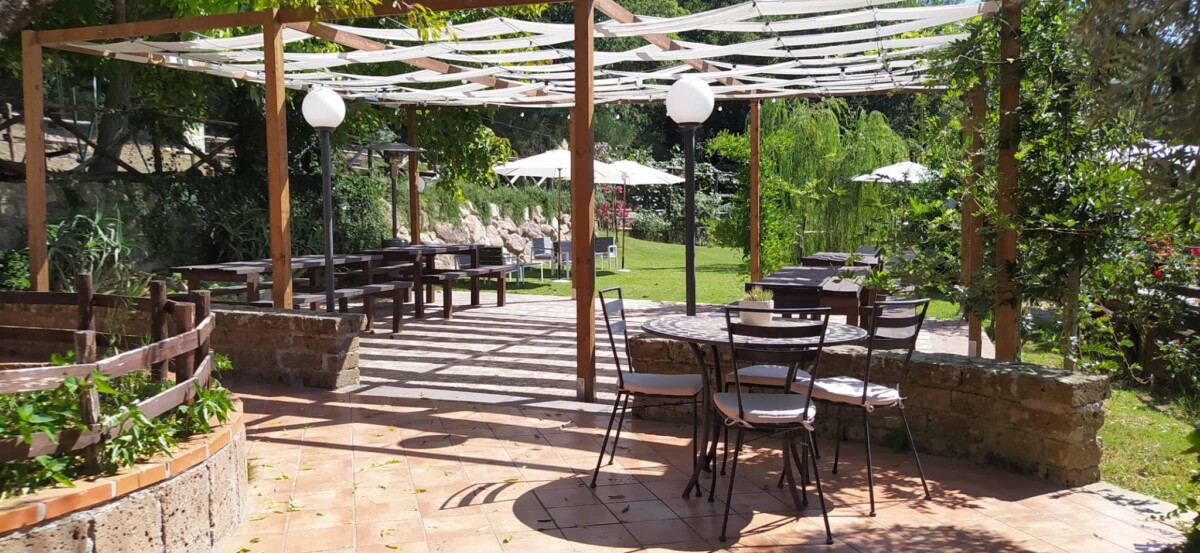 cardellina1 cardellina tolfa