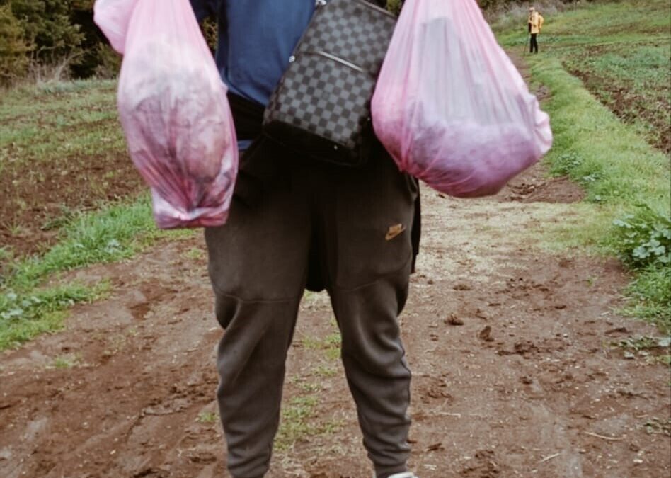Sulle orme degli Etruschi di Cerveteri con gli studenti dell’Alberghiero: quando il trekking diventa educazione civica