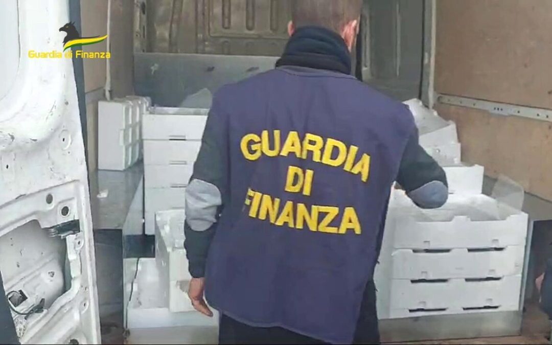 Sequestrati quasi 300 kg di pesce a Ladispoli, sigilli per un ristorante