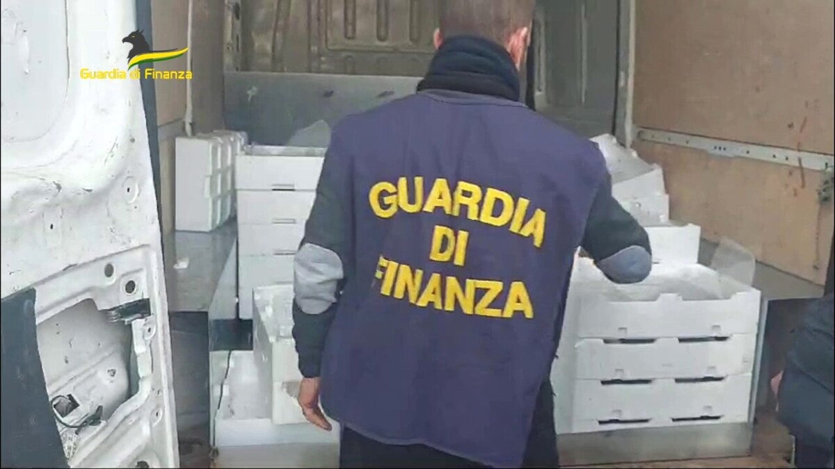 finanza pescheria pesce 2 finanza pescheria pesce