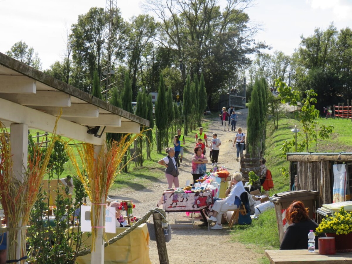 fiocco5 parco faunistico fiocco di neve