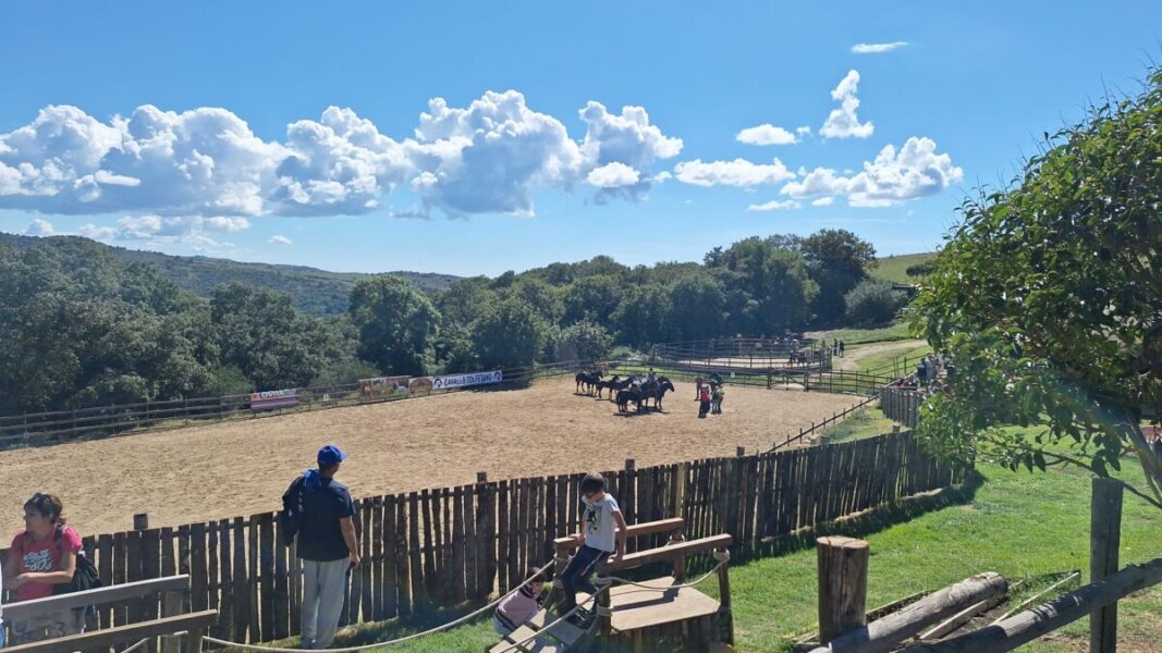 parco faunistico fiocco di neve
