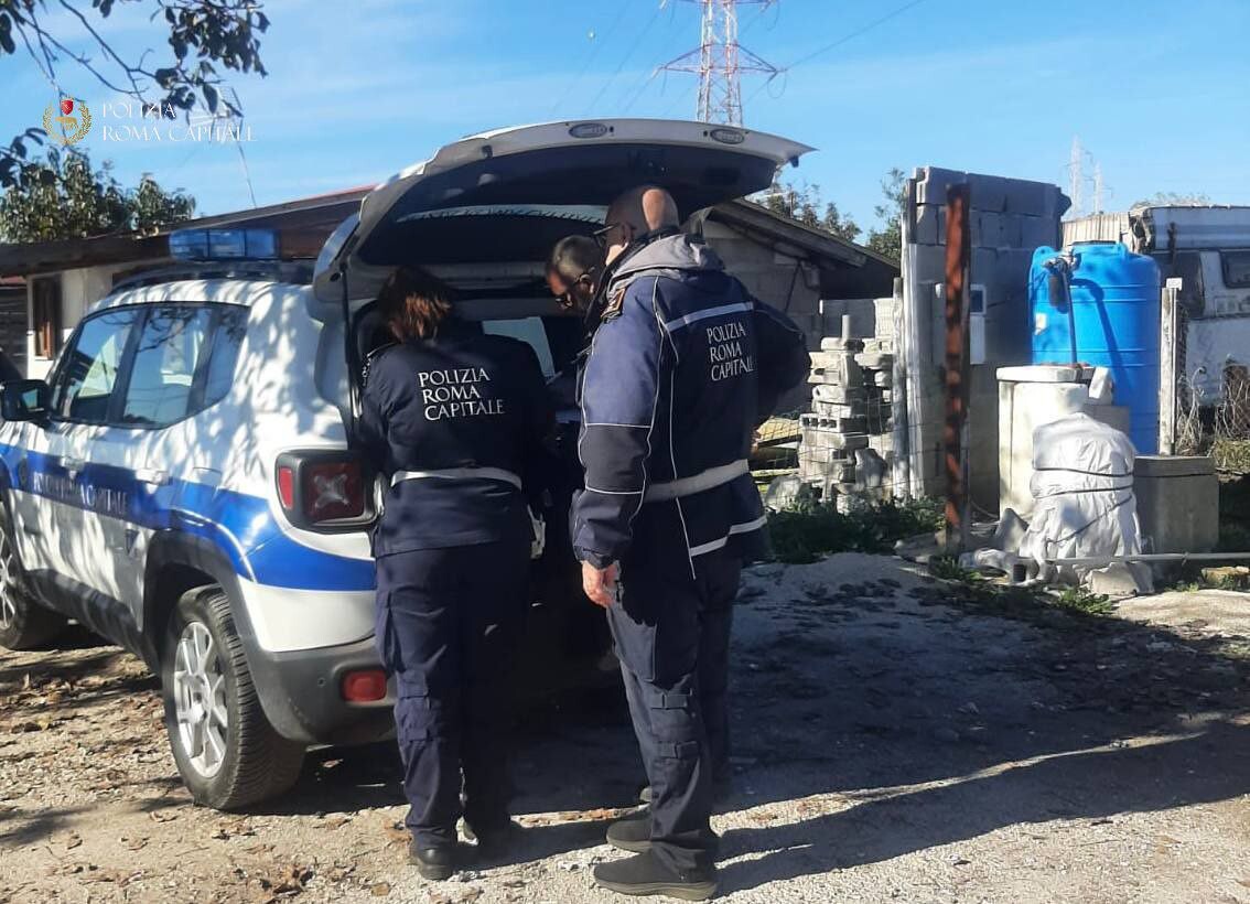 rifiuti pericolosi municipale roma capitale rifiuti pericolosi municipale roma capitale