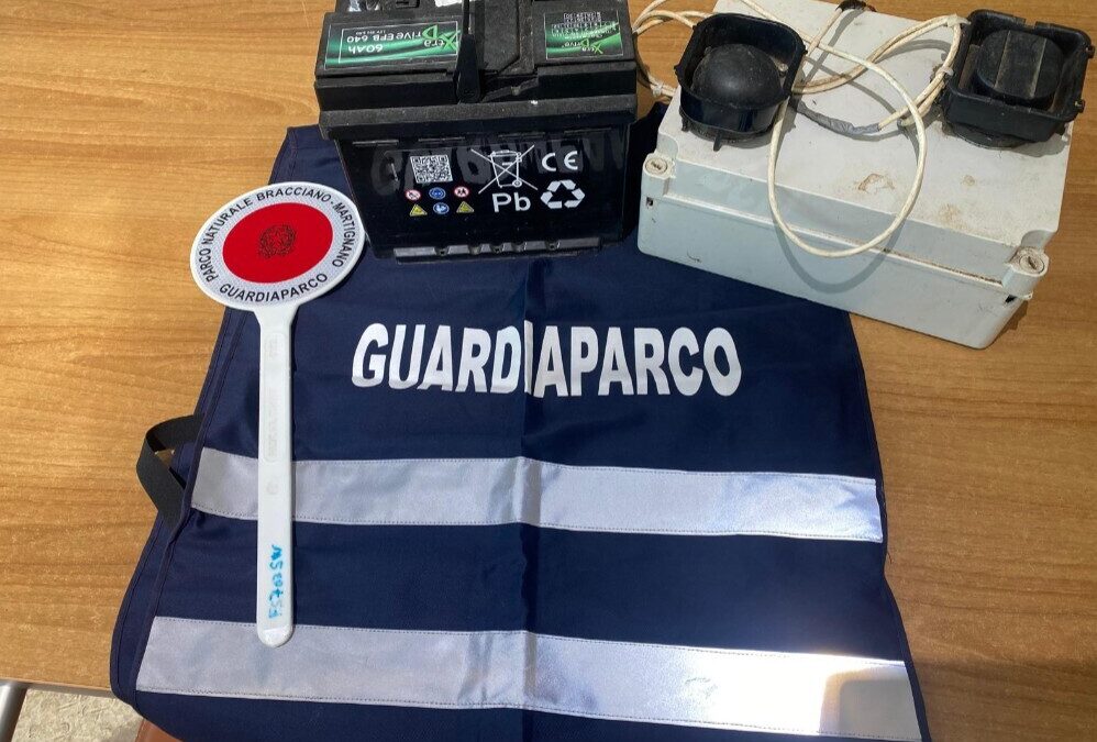 Richiamo per uccelli, bracconiere di Anguillara denunciato dai Guardiaparco di Bracciano-Martignano