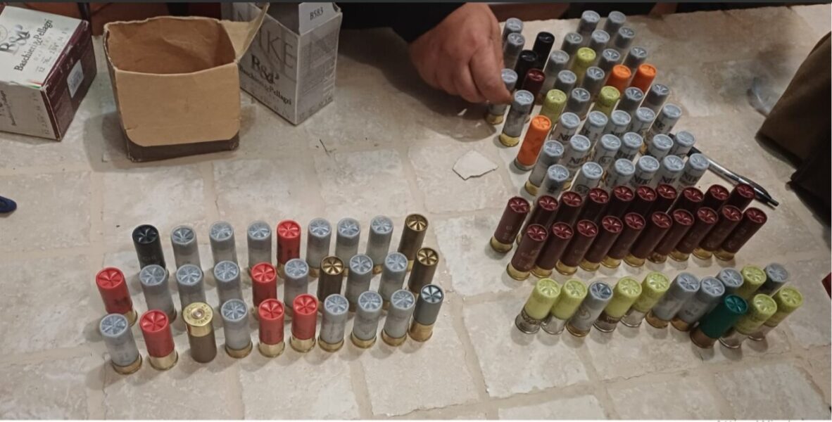 guardiaparco bracciano (2)