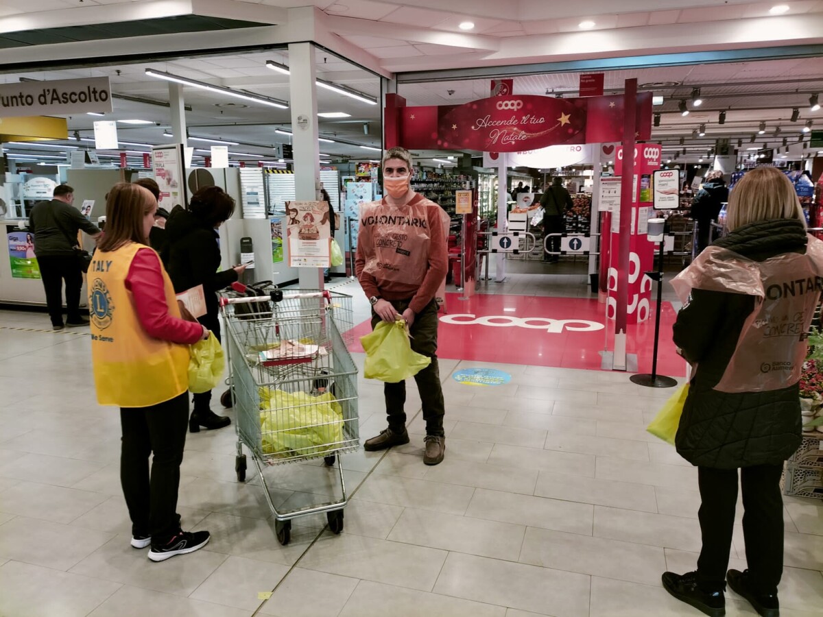 lions coop 2 lions coop