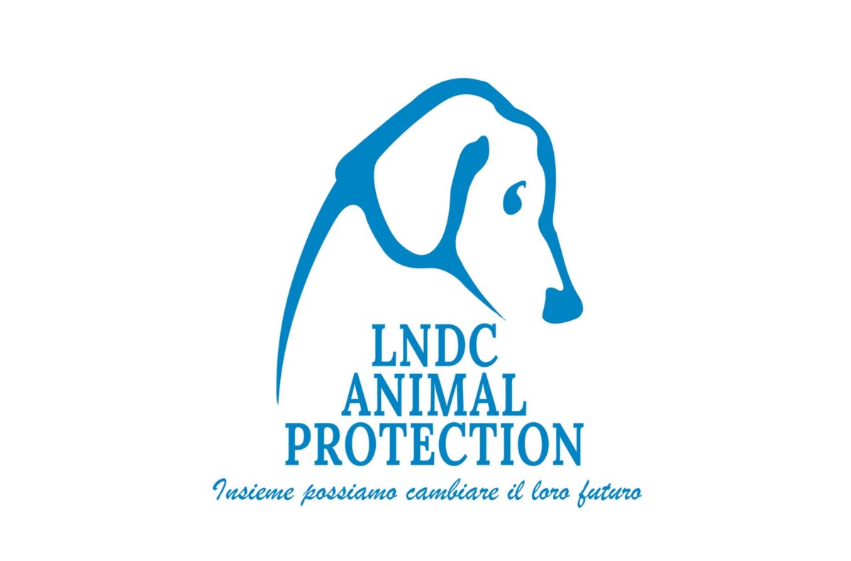 logo lega cane lndc