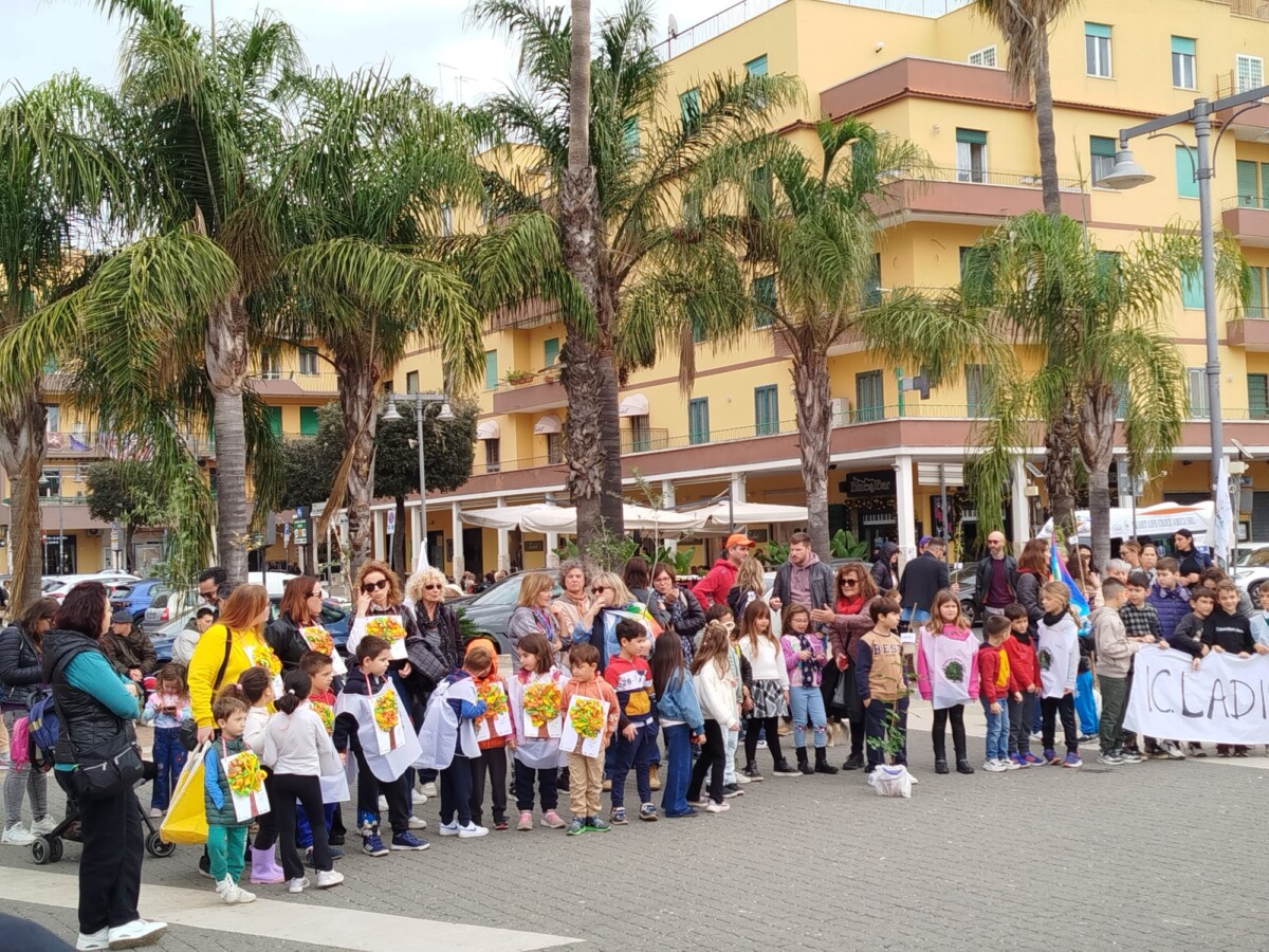 marcia alberi 2025 (1) marcia alberi 2025 (1)