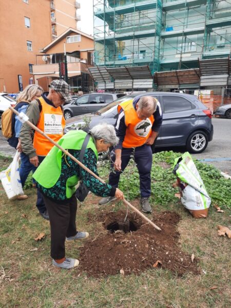 marcia alberi 2025 (1)