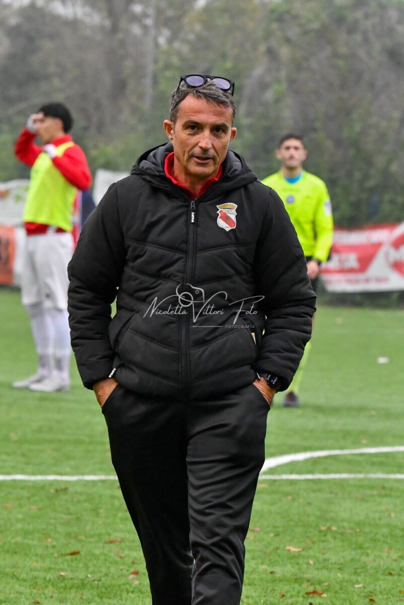 michele micheli tolfa michele micheli tolfa