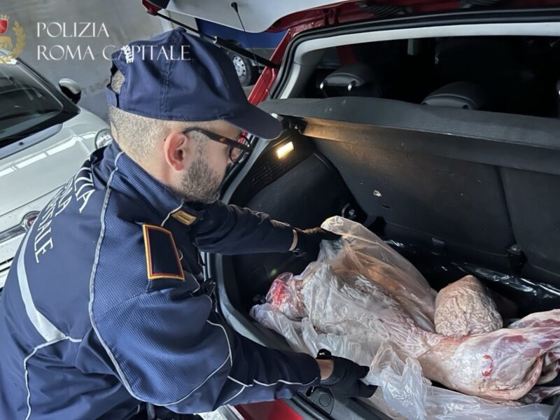 municipale roma capitale carne