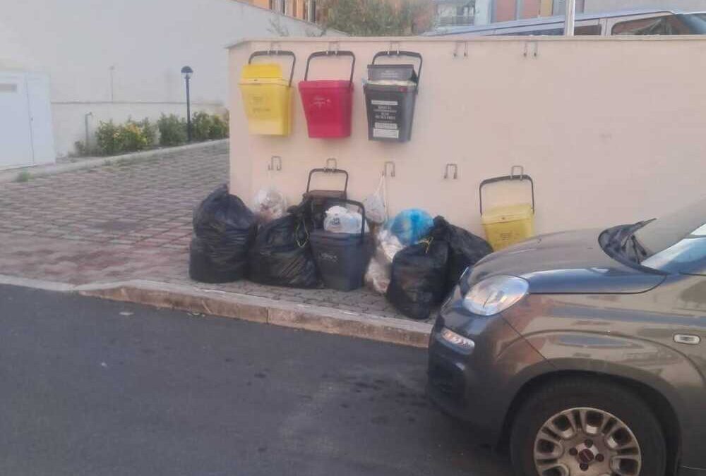 Caos rifiuti a Civitavecchia, Giannini: “Razionalizzazione necessaria per salvare Csp e migliorare il servizio”