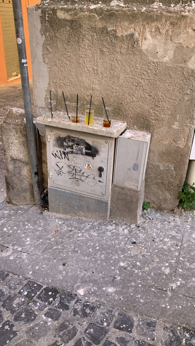 malamovida civitavecchia alcool malamovida civitavecchia alcool