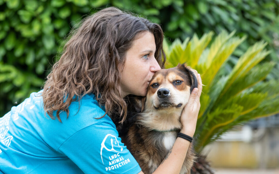 “Un inverno senza gabbie”, al via la campagna per adottare i cani del rifugio di Anguillara