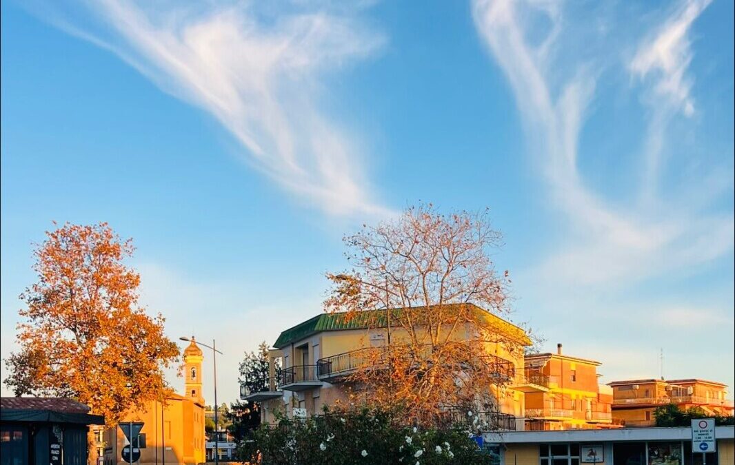 A Cerveteri nascono le “aiuole sponsorizzate”: gestisci uno spazio verde in cambio di pubblicità