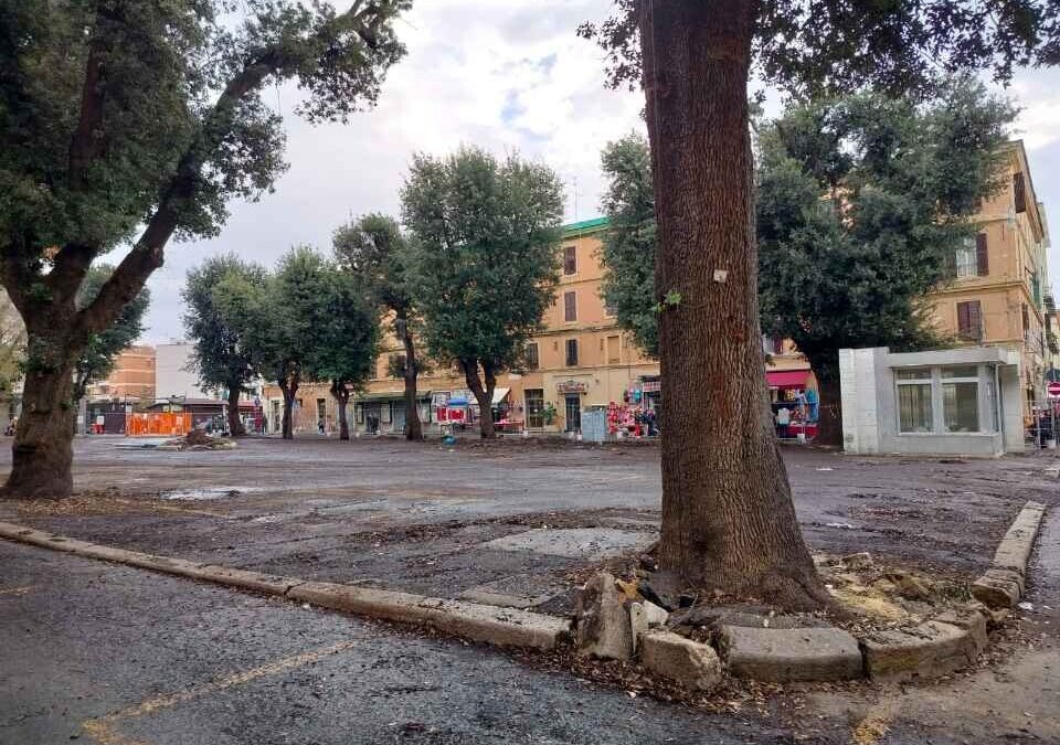 Salviamo gli alberi di Civitavecchia, “al mercato abbattimenti in nome del Pnrr”