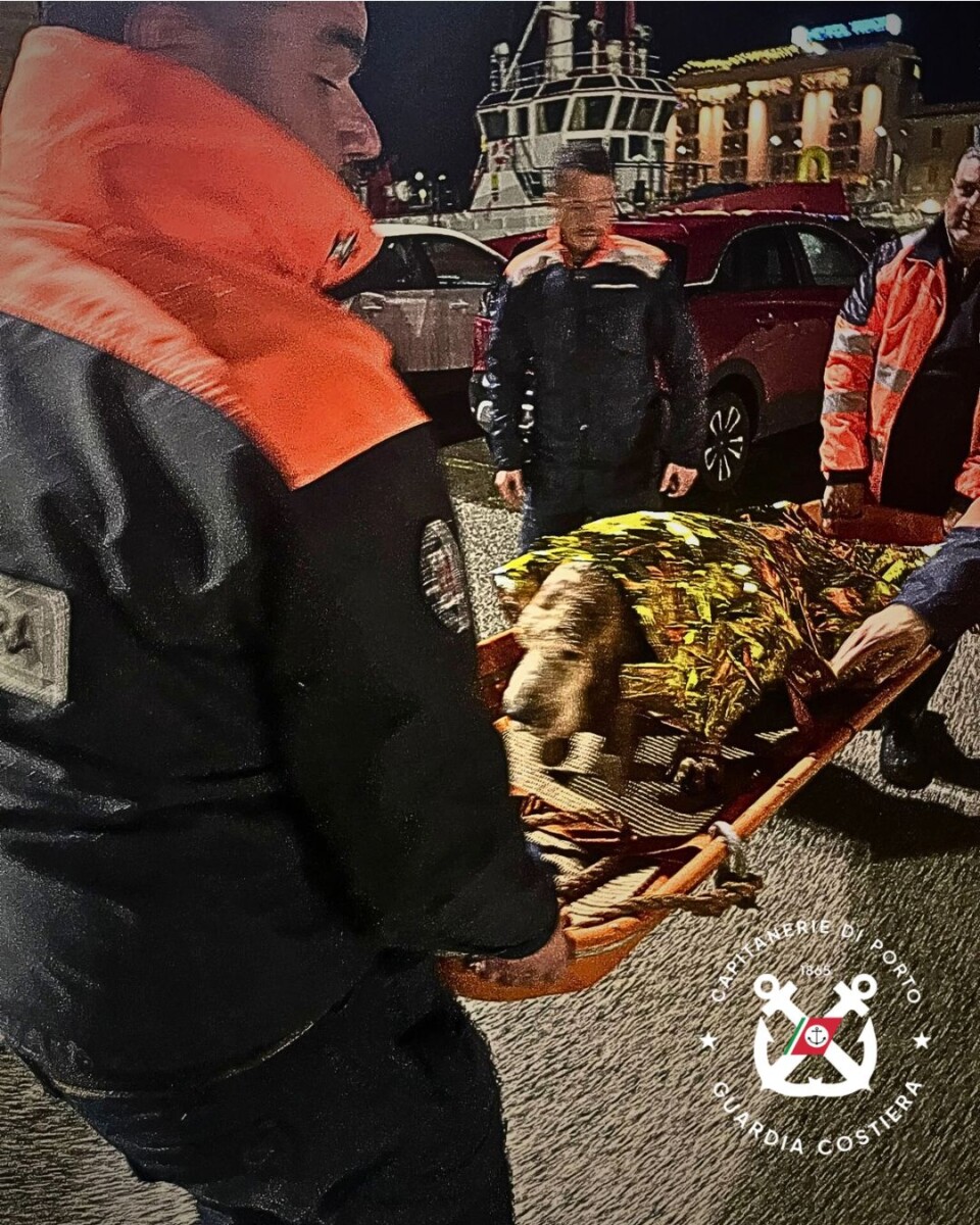 cagnetto salvato guardia costiera