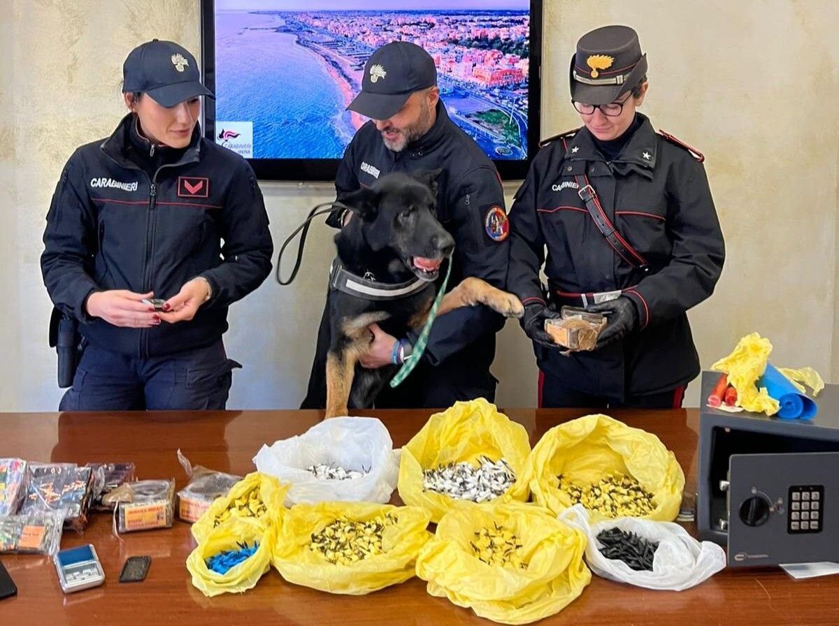 carabinieri ostia droga cinofili cagnolone