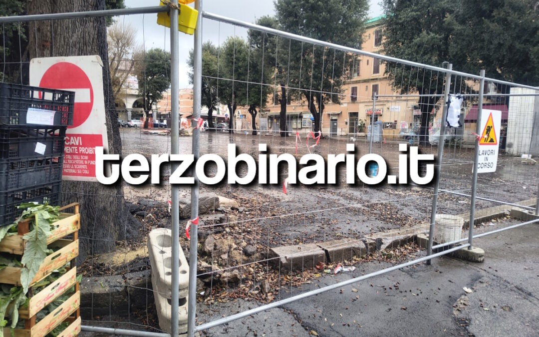 Alberi del mercato di Civitavecchia, il Comitato: “Voci di sospensione dell’abbattimento”