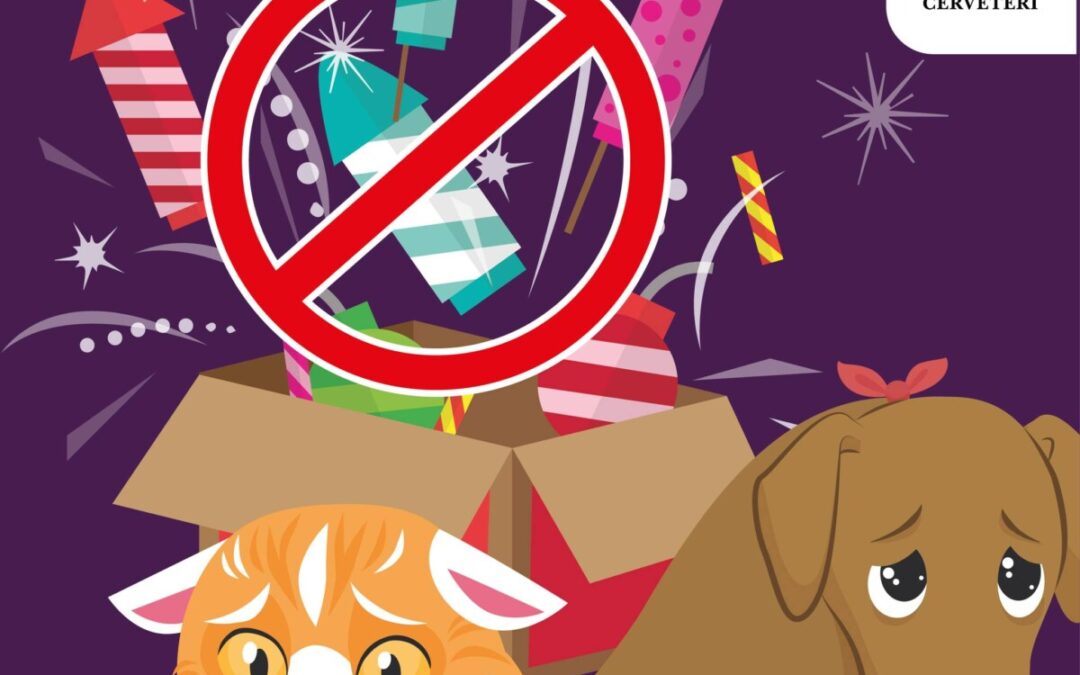 Ordinanza anti-botti a Cerveteri, la Gubetti: “Così proteggiamo gli animali”