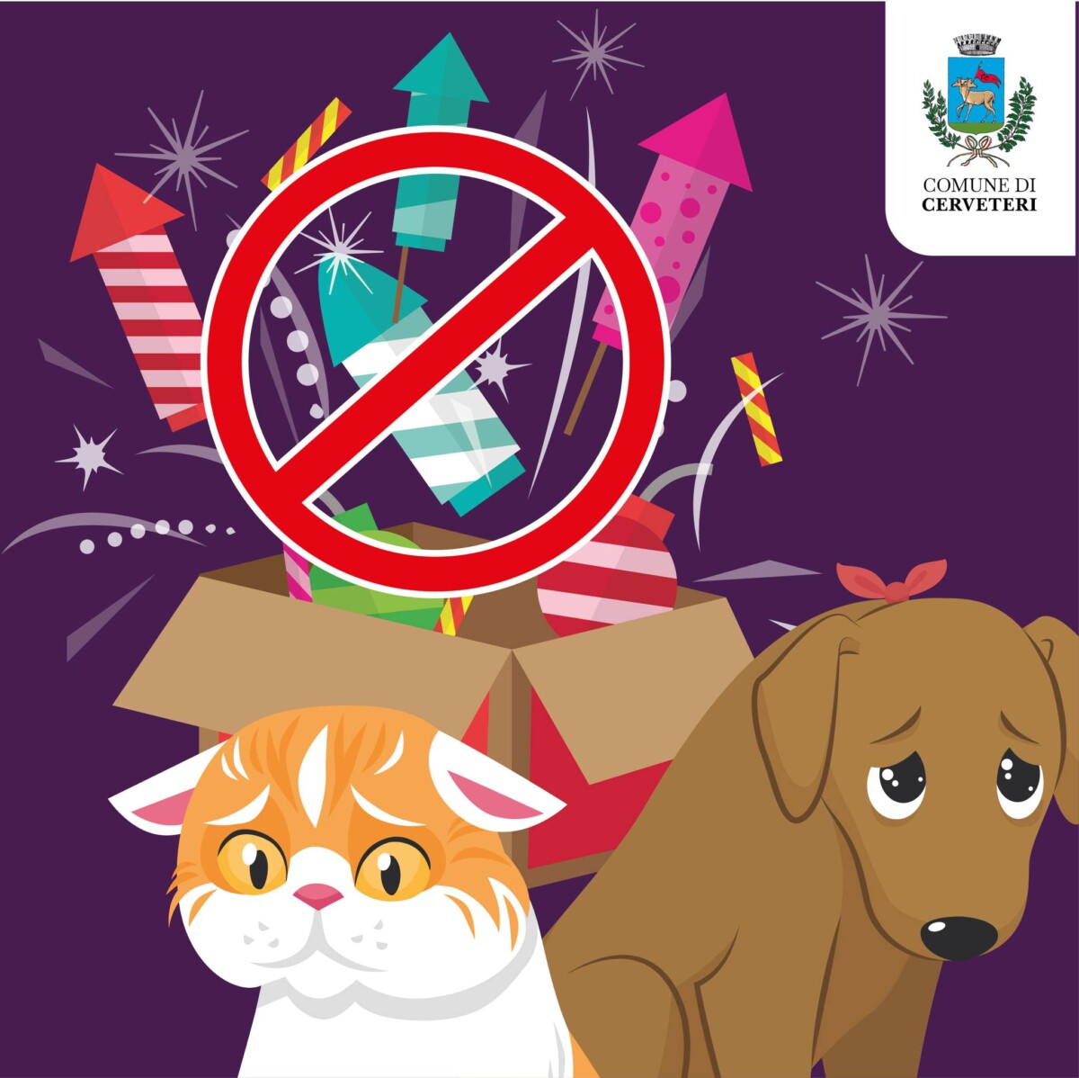 ordinanza botti capodanno cerveteri