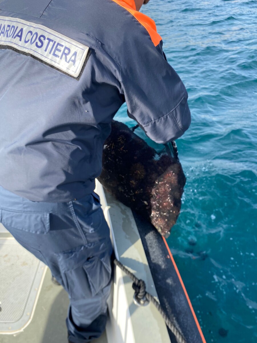 sequestro ricci santa marinella guardia costiera (2)