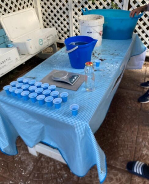 sequestro ricci santa marinella guardia costiera (2)