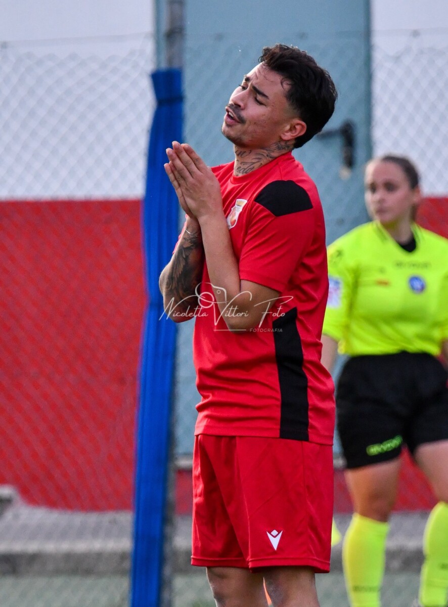tolfa bernardini forse tolfa bernardini forse