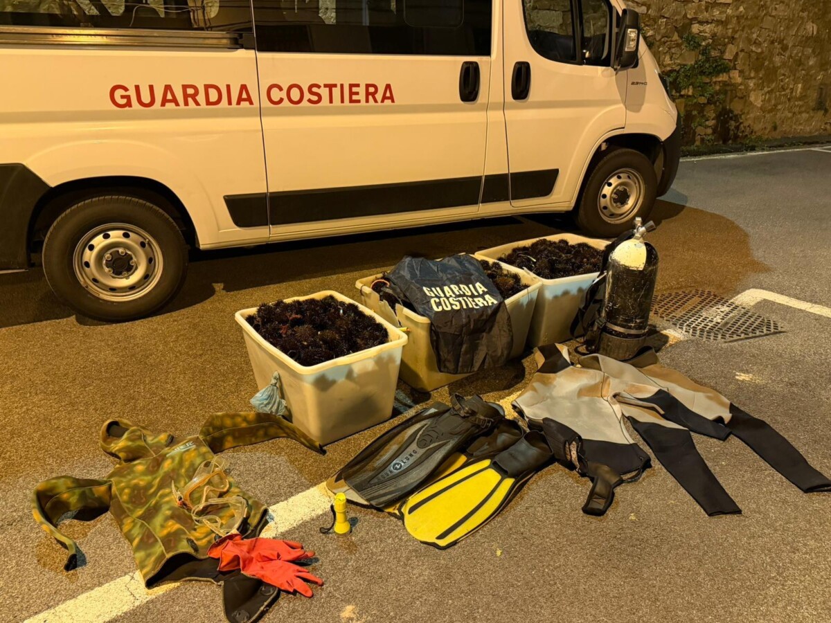Cinquemila ricci sequestrati dalla Guardia Costiera a Santa Marinella