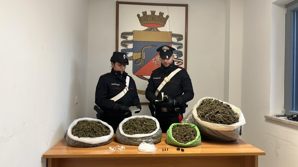 droga cerveteri carabinieri