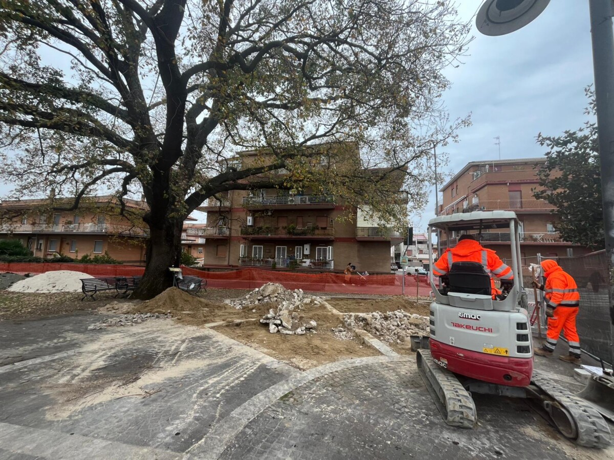 Lavori quercia Lavori quercia