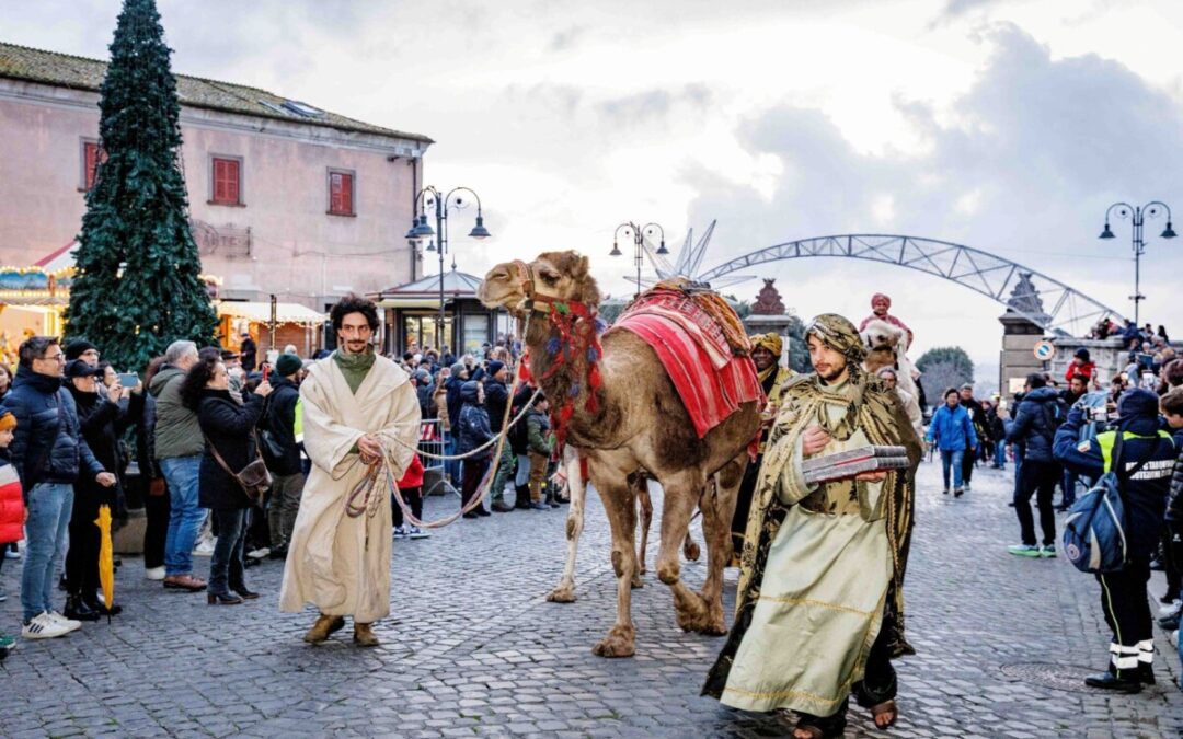 Cammelli dei re Magi per il presepe vivente di Tarquinia
