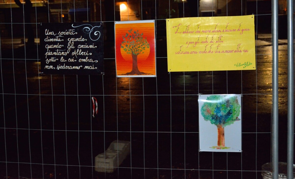 alberi mercato civitavecchia opere quadri affissi (4) alberi mercato civitavecchia opere quadri affissi (2)